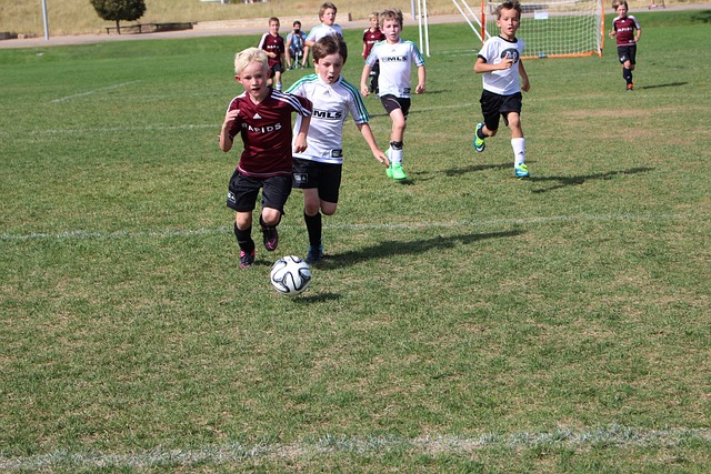 湖人的焦点 湖人的焦点