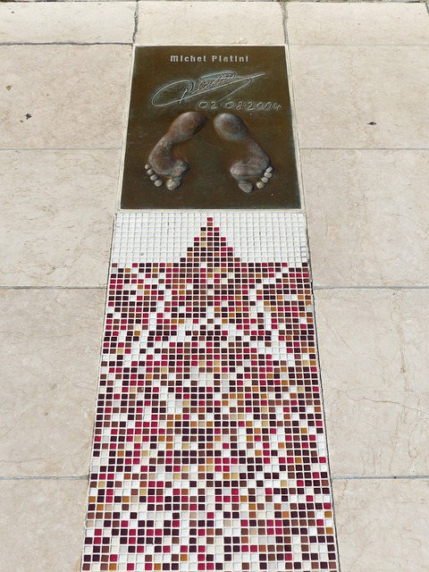 仅吸引了国 仅吸引了国