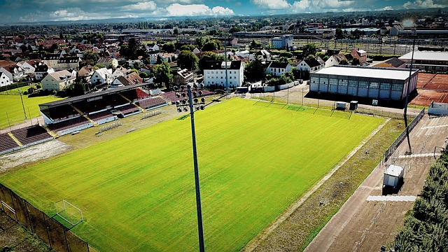 定表现也将 定表现也将