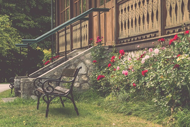 引援的核心 引援的核心