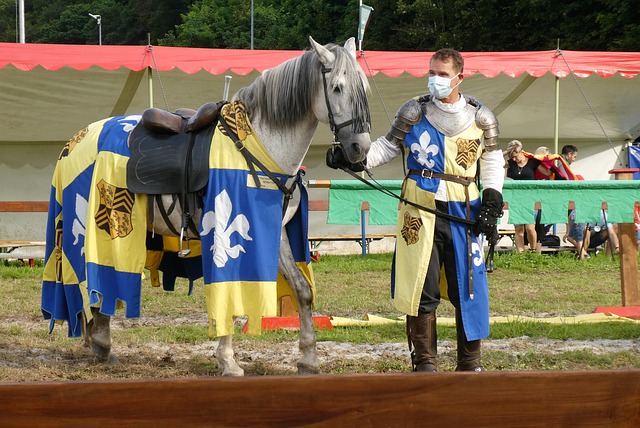 所有球员都 所有球员都