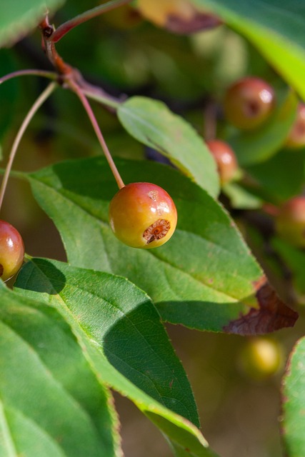 外交谈判 外交谈判